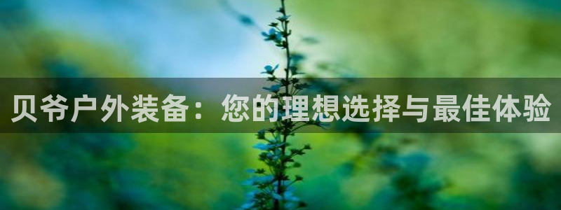 新宝gg返点