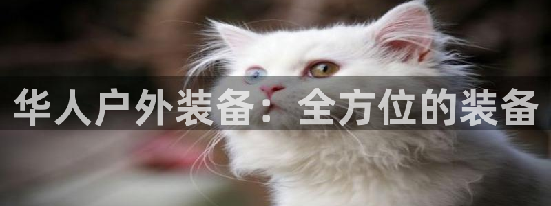 新宝gg注销