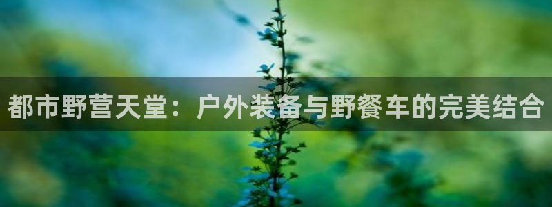 新宝gg网赚