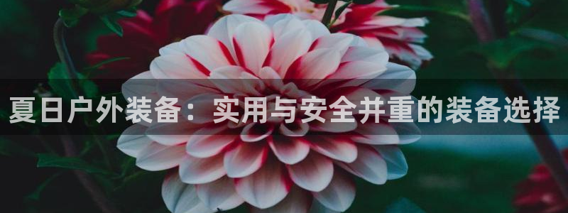 新宝gg开