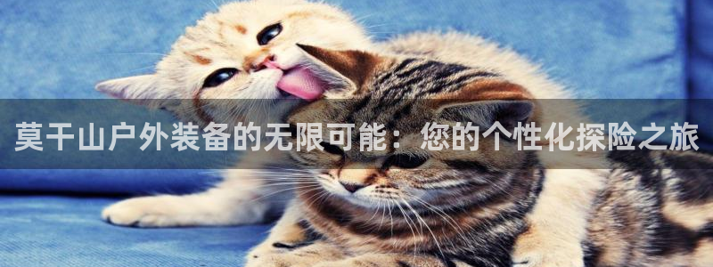 新宝娱乐gg