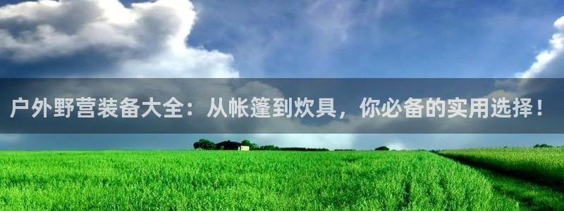 新宝gg图片