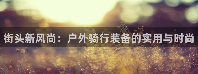 新宝gg返点1956是多少