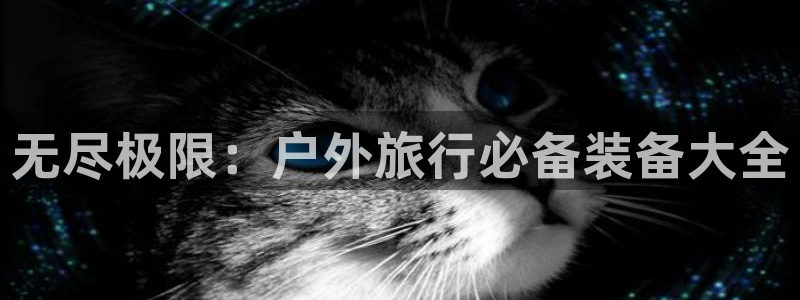 www.新宝gg