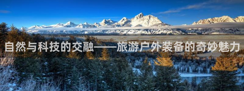 新宝gg主管都是谁