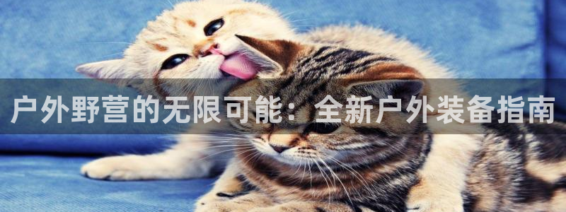 新宝gg dx-gg.cn