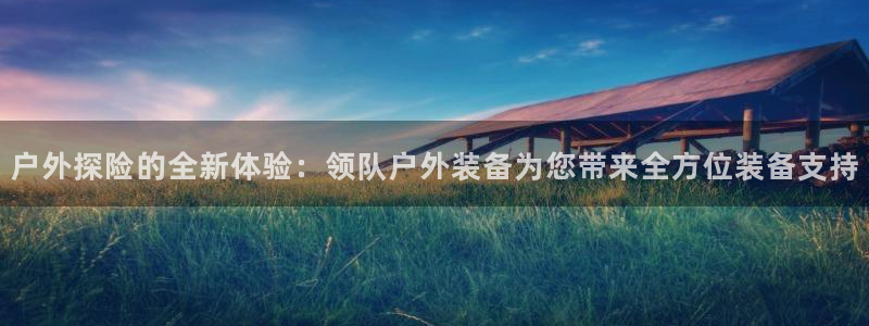 新宝gg线长