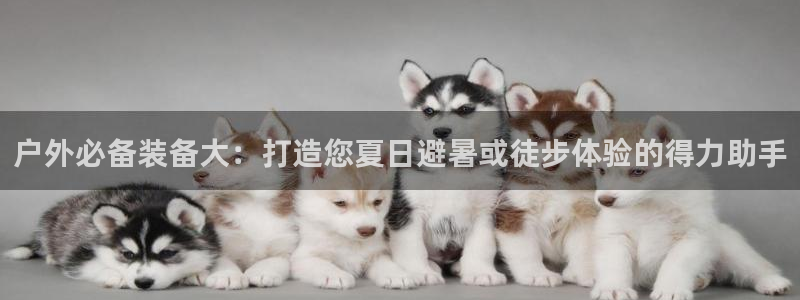 新宝gg总管