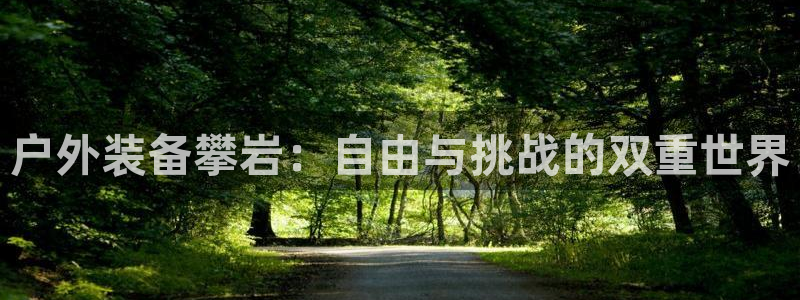 新宝gg开号