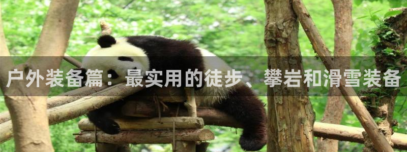 新宝gg主管开