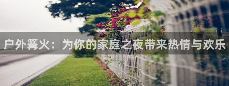 新宝GG反点