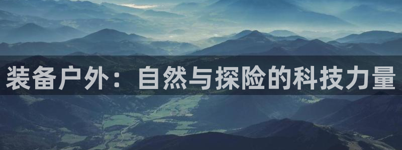 新宝GG跑路