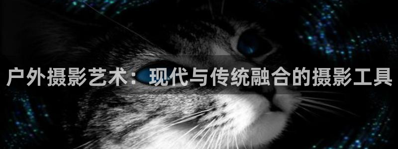 创造奇迹新宝gg