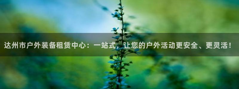 新宝gg网点