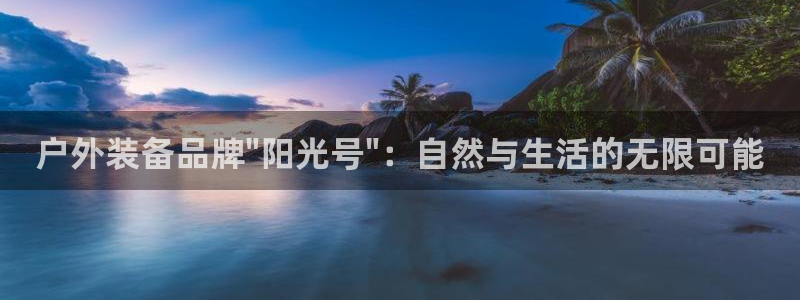 新宝gg属于