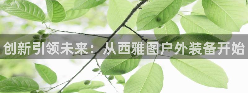 新宝gg玩法