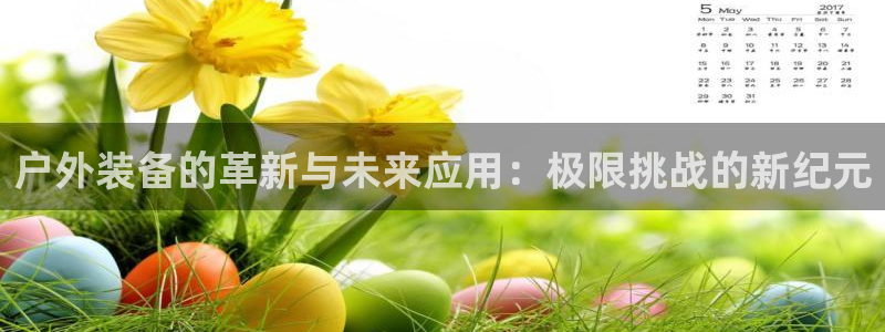 新宝gg官网