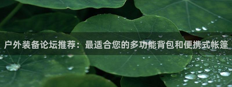 新宝GG管理