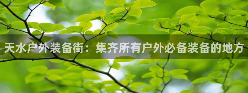 新宝gg博客