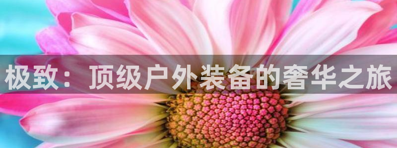 新宝gg工资