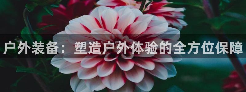 新宝GG无法充值