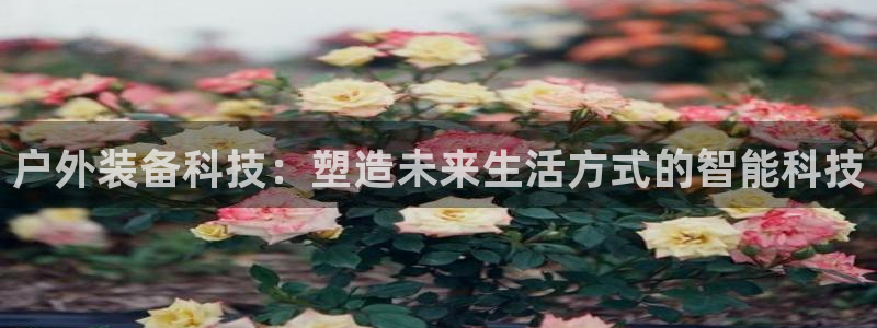 新宝gg盈亏