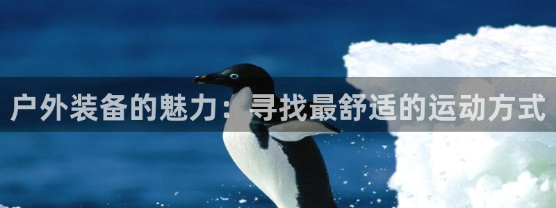 新宝gg平台下载安装