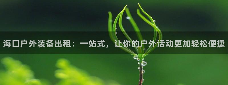 新宝gg怎样代理