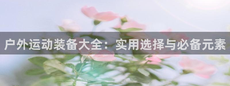 新宝gg主管
