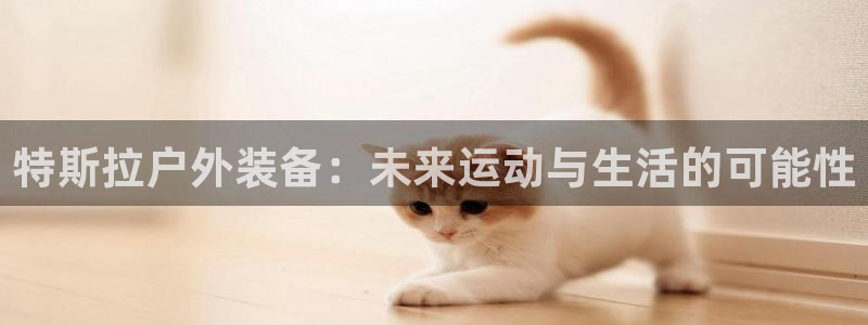 新宝gg待遇