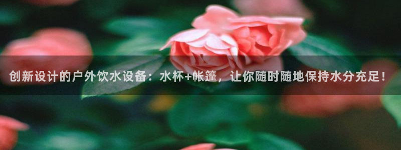 新宝gg待遇