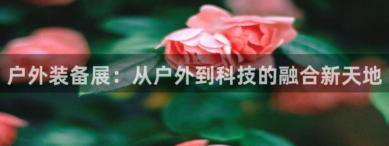 新宝GG冰冰