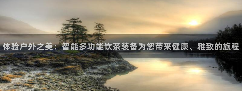 新宝gg是什么