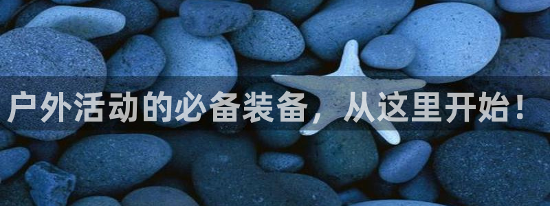 新宝GG链接