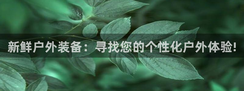 下载新宝gg