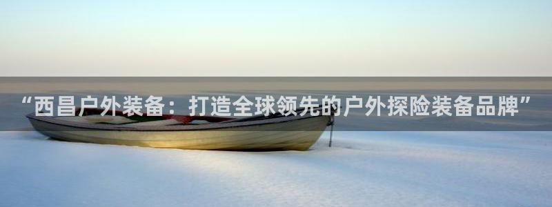 新宝gg正规