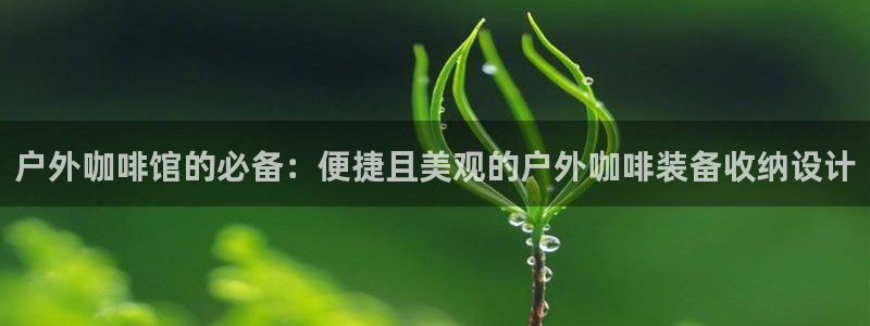 新宝六与新宝gg