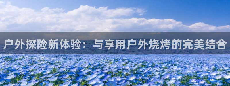 新宝gg网站