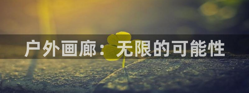 新宝gg作弊