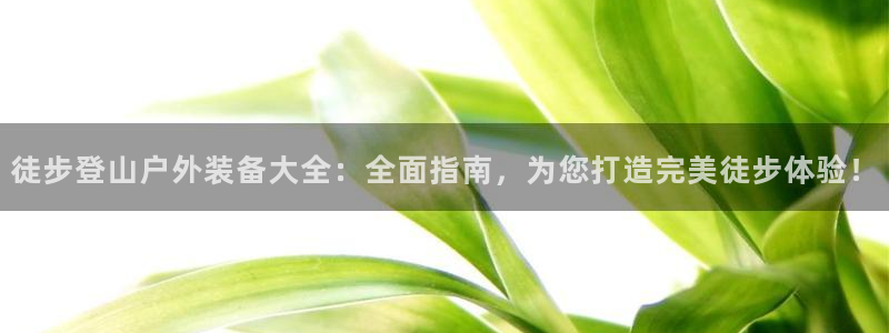 gg新宝gg