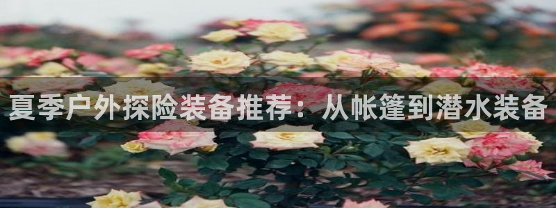 新宝gg开户流程