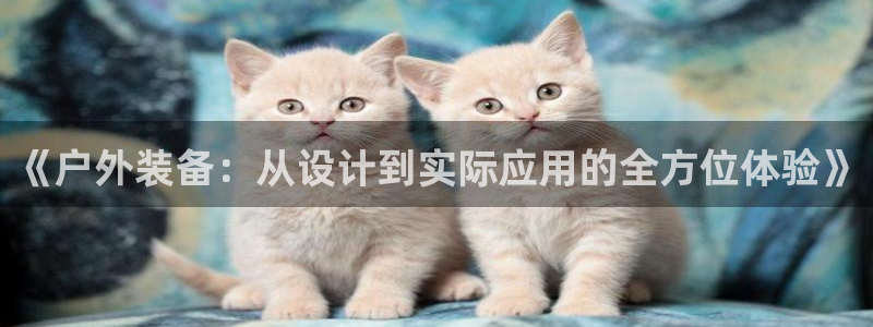 新宝gg主管baidu