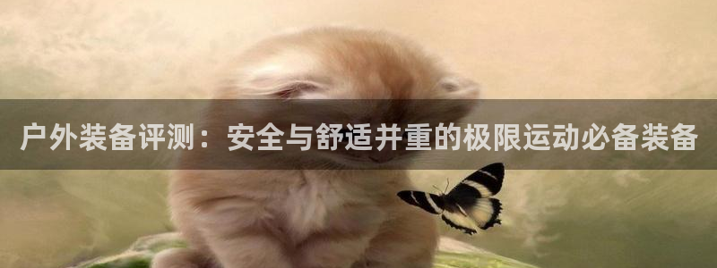 新宝GG股东