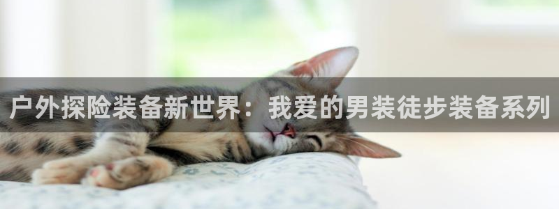 新宝gg官网