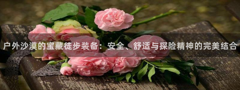 新宝GG—创造奇迹