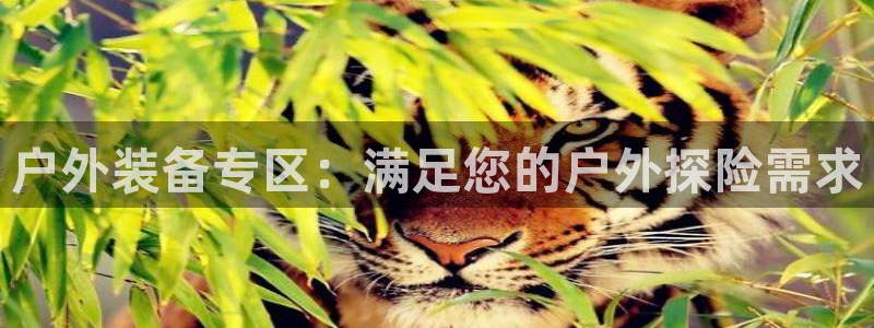xbgg新宝gg