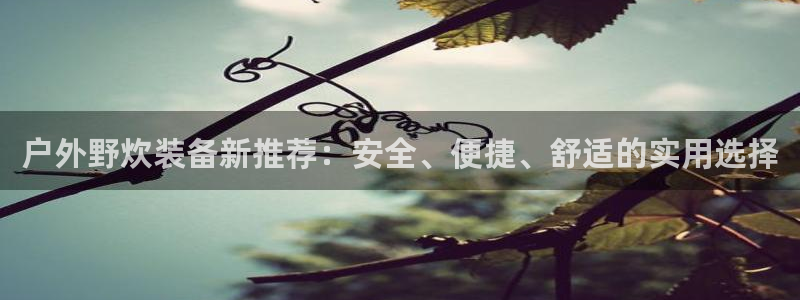 新宝gg--创