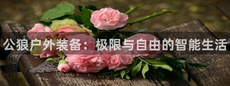 新宝6娱乐新宝gg