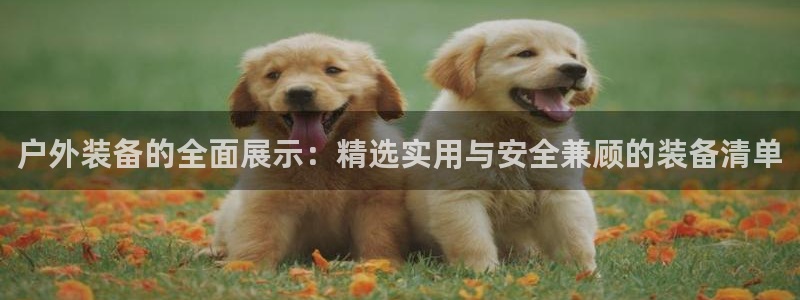 新宝GG苹果版