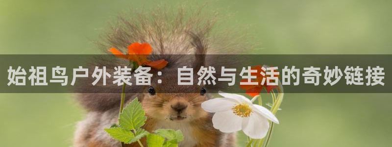 太阳gg和新宝gg